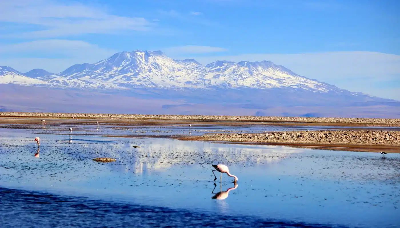 The Salar de Atacama